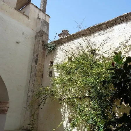 Salento Centro Storico Con Corte Antica *