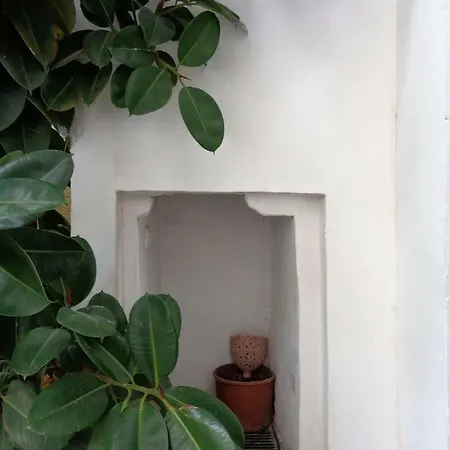 Salento Centro Storico Con Corte Antica Апартаменты